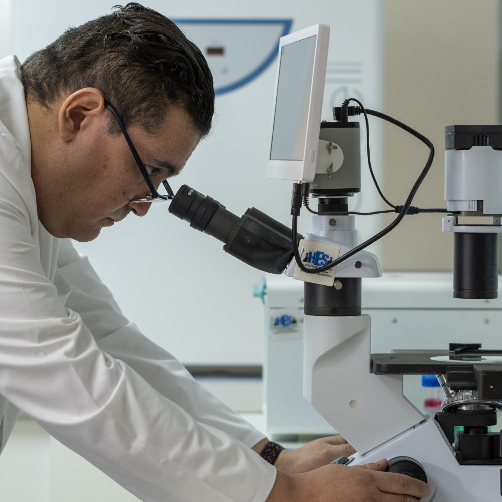 <?php echo pulse_output(); ?>